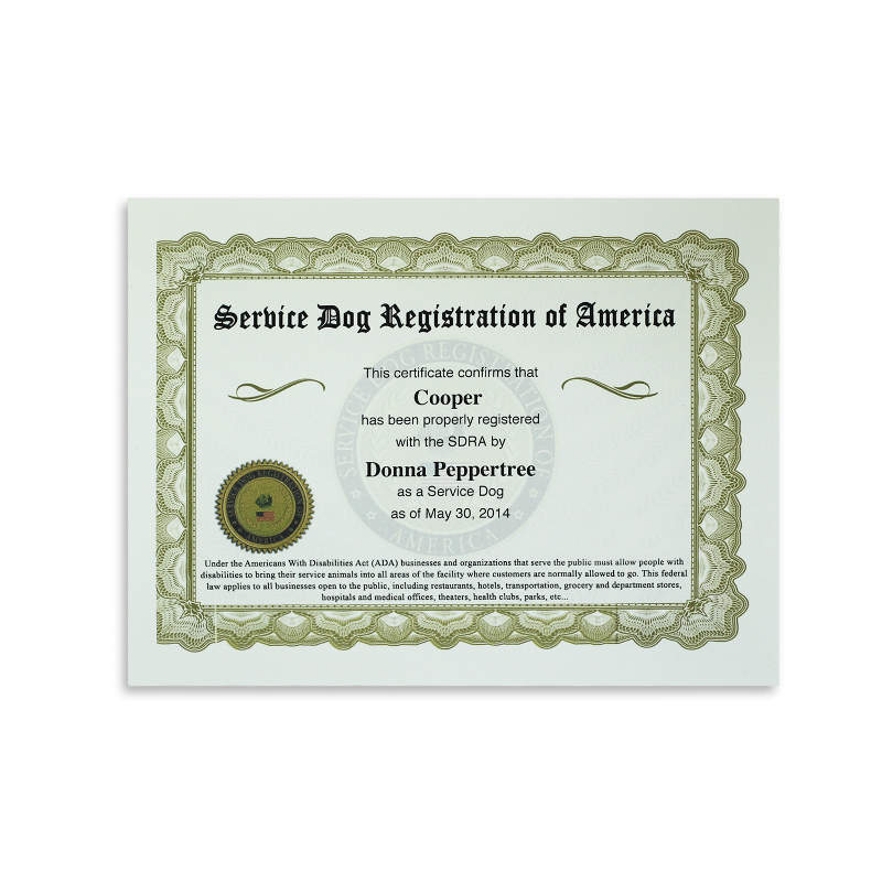 Lightning Service Dog Certificate Instant Proof Verification