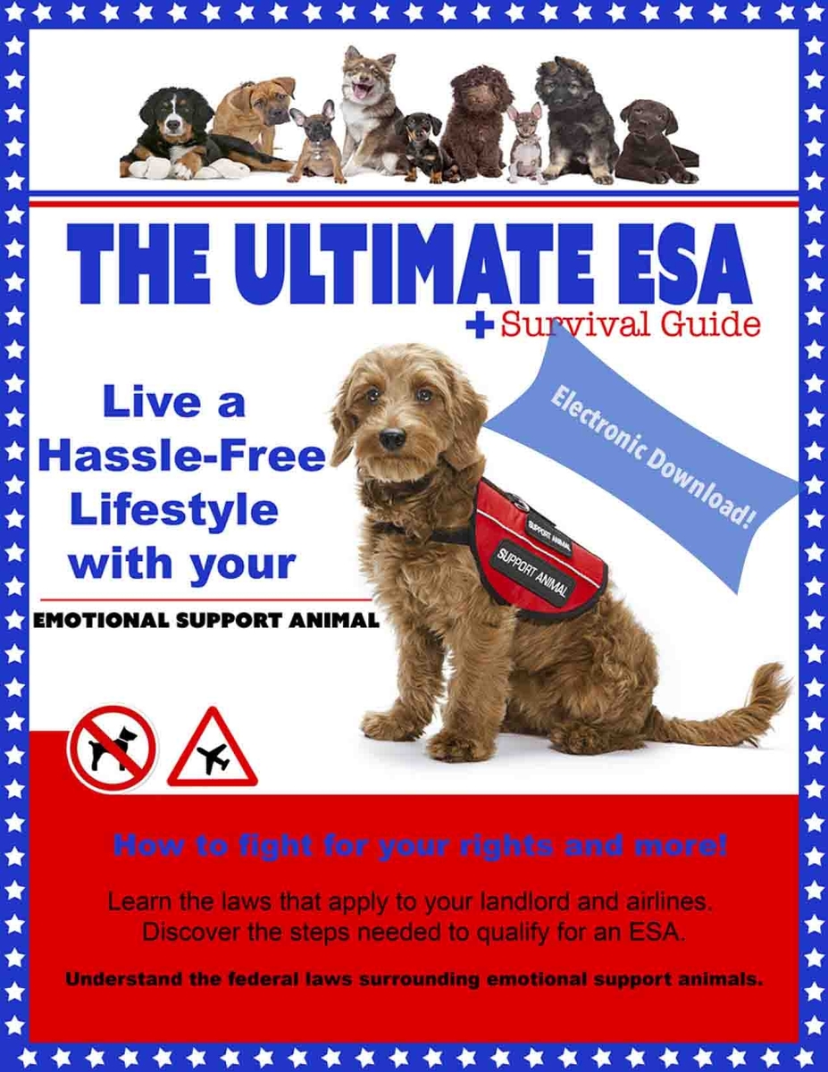 Buy Ultimate Esa Vip All Access Kit Online Esara