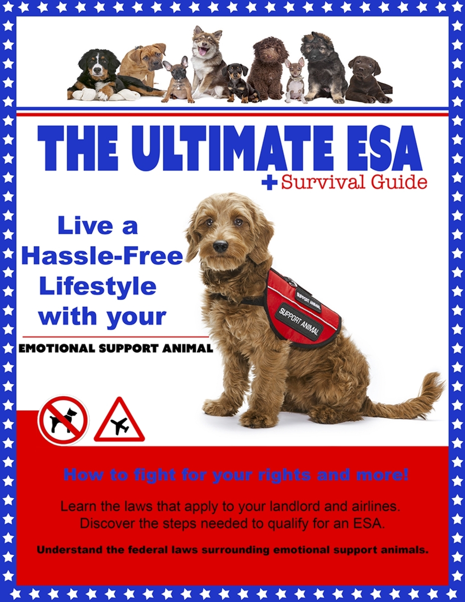 Buy All You Need Esa Package Online Esara