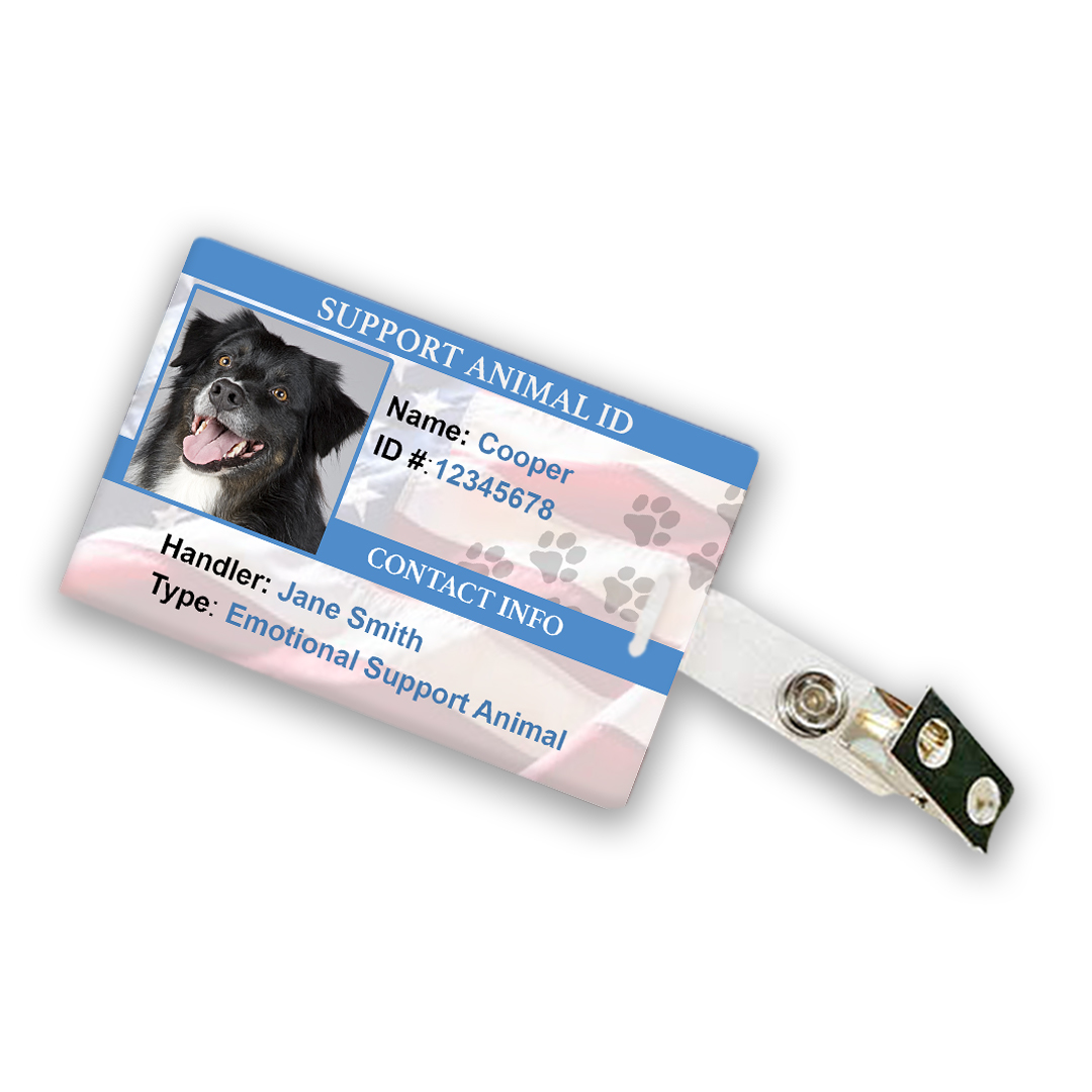 Buy Premier Esa Certification Kit Online Esara