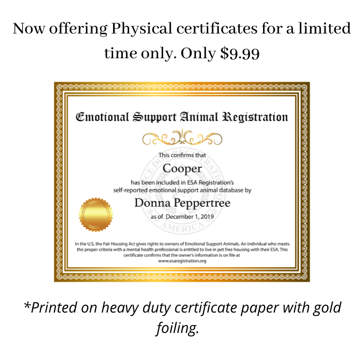 Service Dog Certificate Template