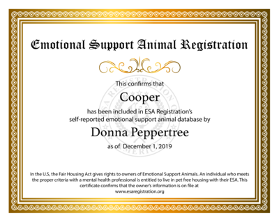 Esa outlet certification free